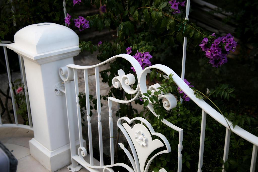 Villa Angelina Selva Di Fasano Εξωτερικό φωτογραφία