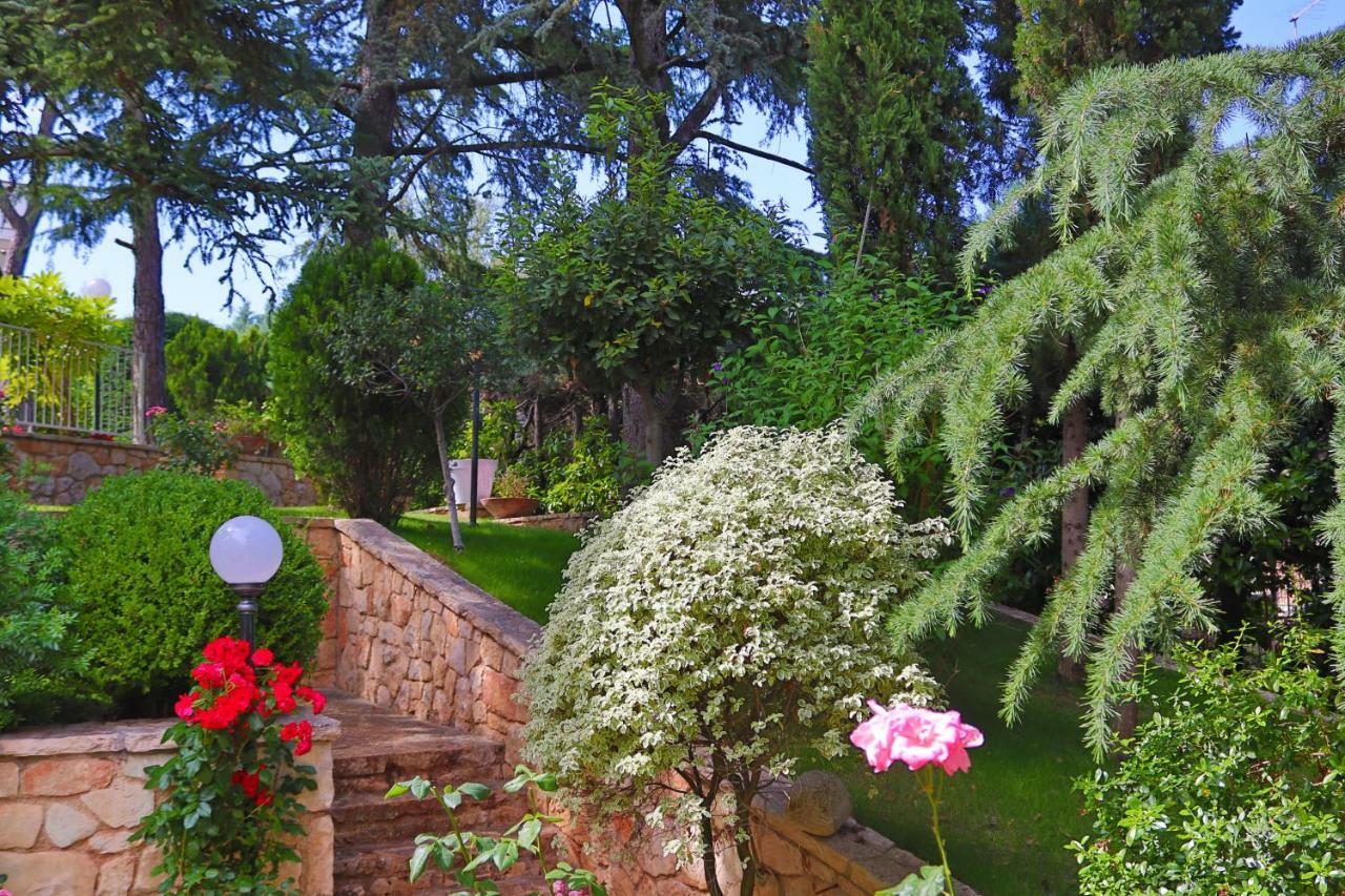 Villa Angelina Selva Di Fasano Εξωτερικό φωτογραφία